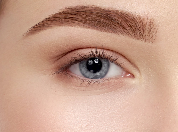 Formation sourcils ultra réalistes pour DÉBUTANTES - Région de